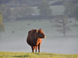 Hurst Farm fotoÄŸrafÄ±