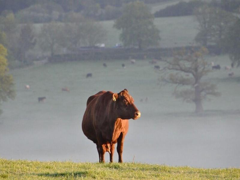 Hurst Farm - Genel