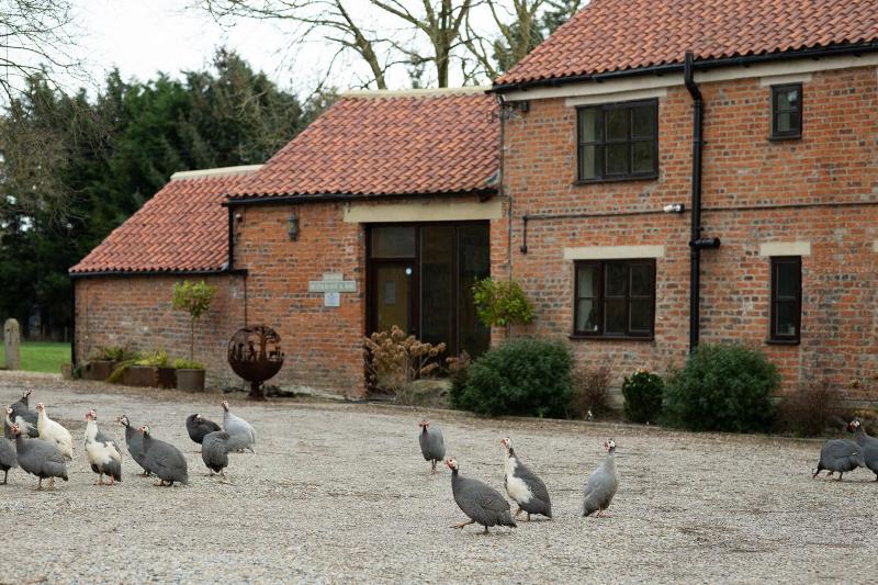 Brickfields Farm - Genel