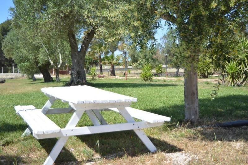 Agriturismo Terra D'Ulivi - Genel