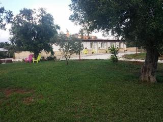 Agriturismo Terra D'Ulivi fotoÄŸrafÄ±