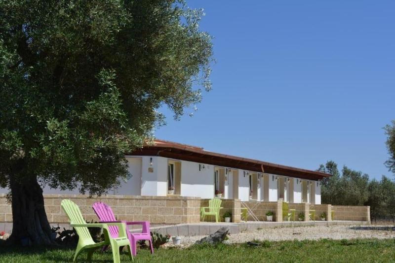 Agriturismo Terra D'Ulivi - Genel