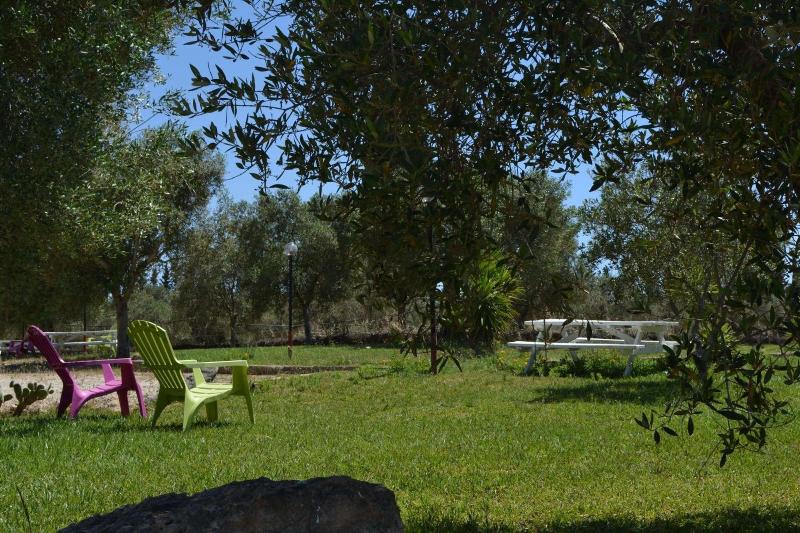 Agriturismo Terra D'Ulivi - Genel