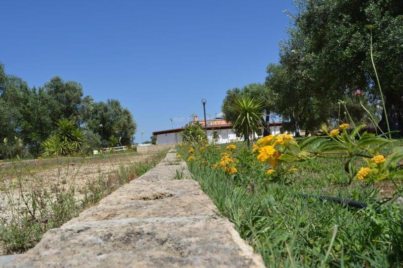 Agriturismo Terra D'Ulivi - Genel