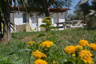 Agriturismo Terra D'Ulivi fotoÄŸrafÄ±
