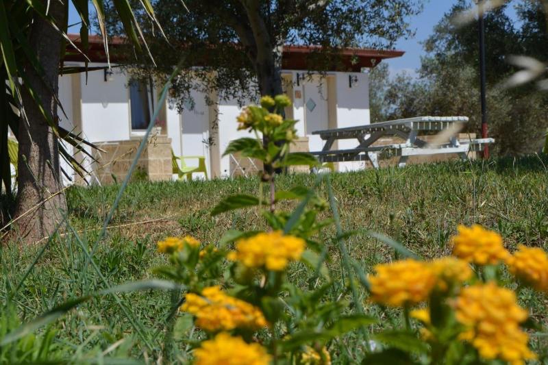Agriturismo Terra D'Ulivi - Genel