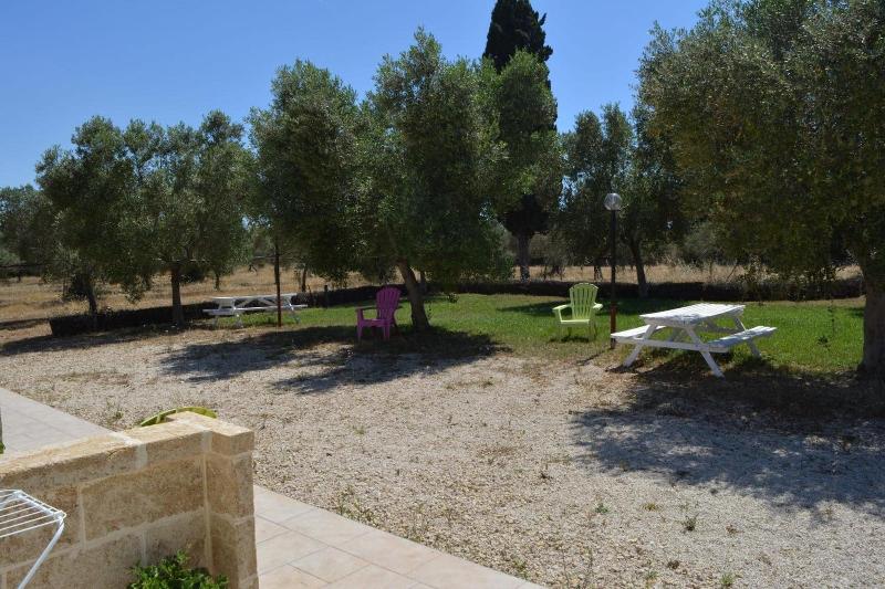 Agriturismo Terra D'Ulivi - Genel