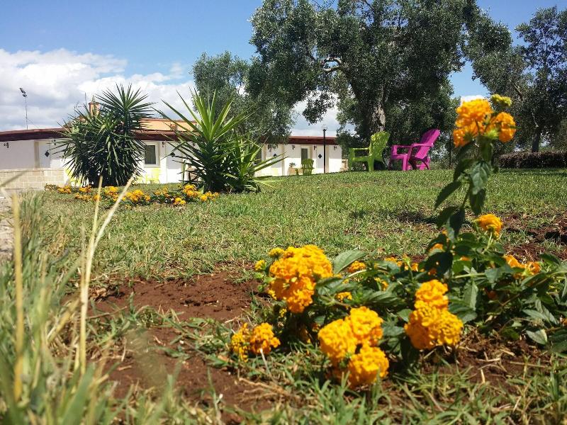 Agriturismo Terra D'Ulivi - Genel