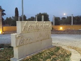 Agriturismo Terra D'Ulivi fotoÄŸrafÄ±