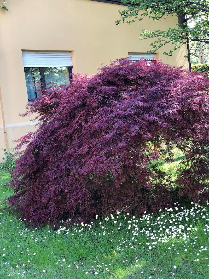 Parco Sassi Hotel - Genel