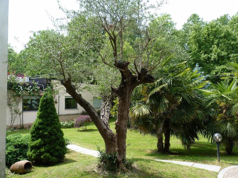Parco Sassi Hotel - Genel
