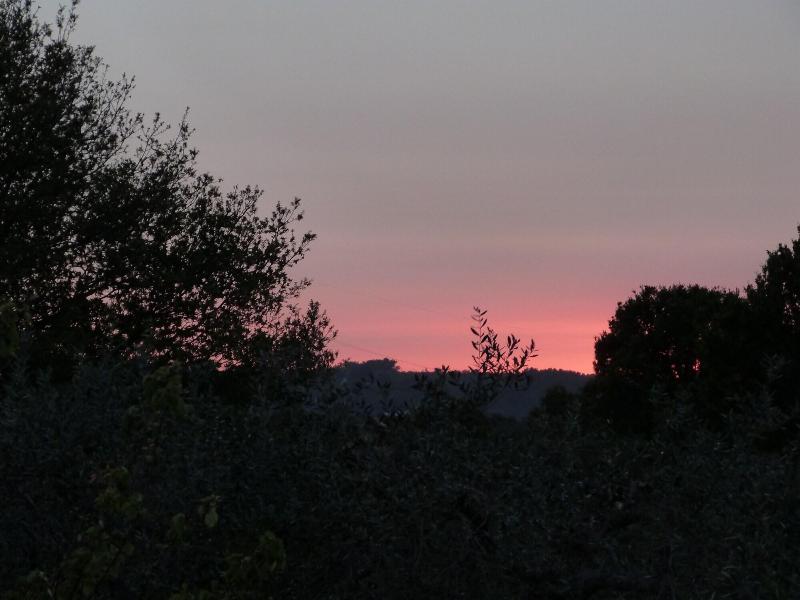 B&B Trullo Casa Rosa - Oda
