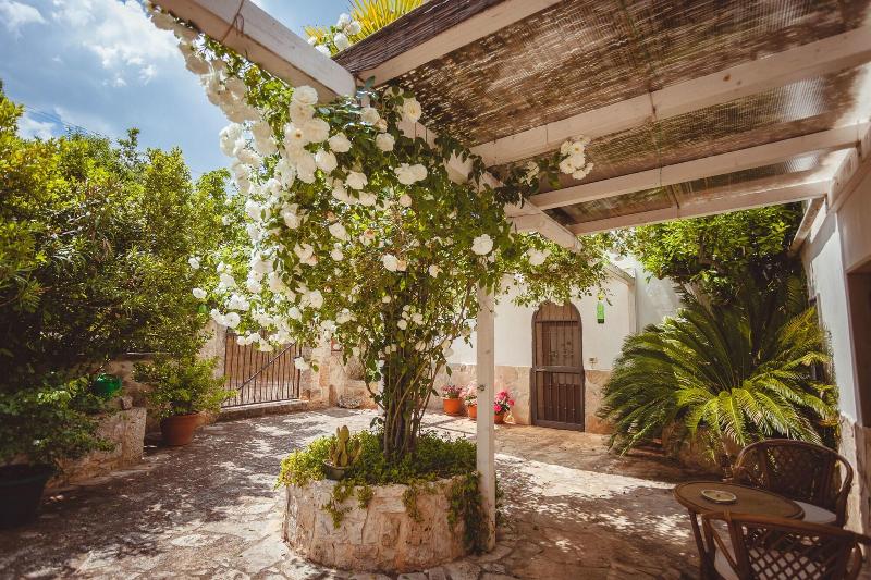 B&B Trullo Casa Rosa - Teras