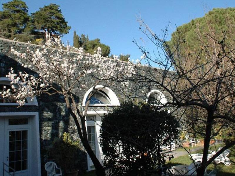 Villa Margherita - Genel