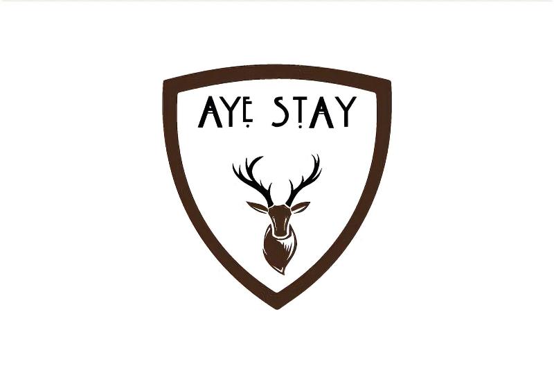 Aye Stay - Genel