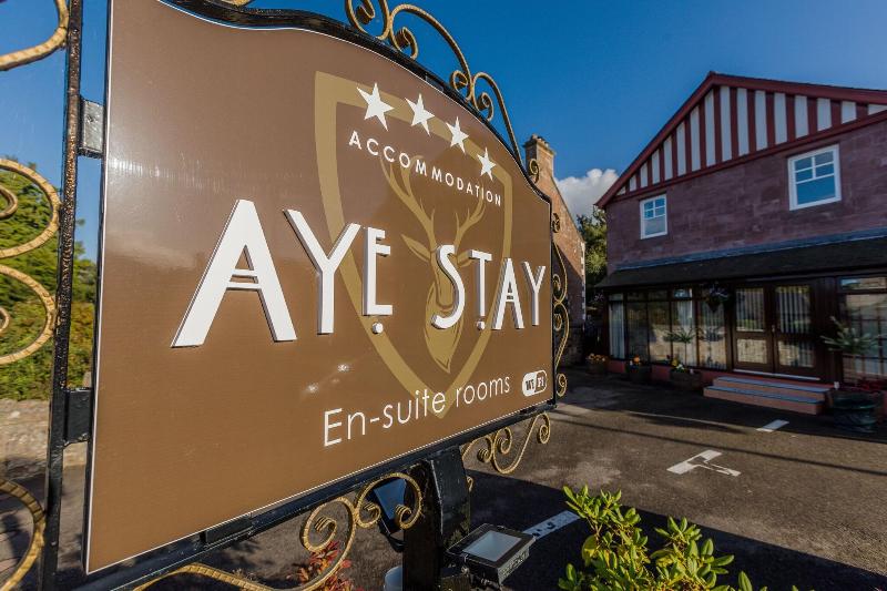 Aye Stay - Genel
