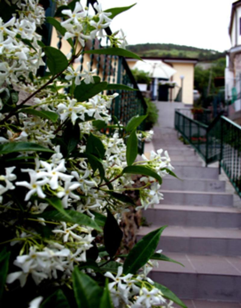 Hotel Del Sole - Teras