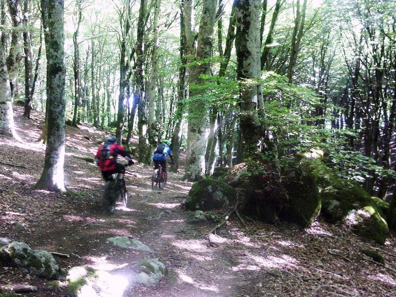 Podere Pontepietra - Aktivite
