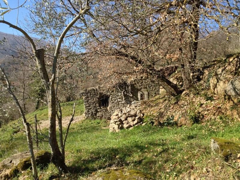 Podere Pontepietra - Genel