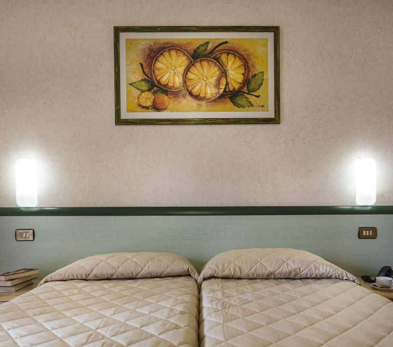 Hotel Du Lac - Oda