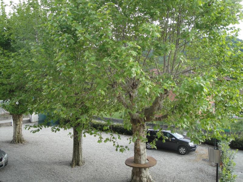 Locanda Del Brinsc - Genel