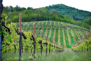 Wine Hotel San Giacomo Activity & Wellness otel fotoğrafı