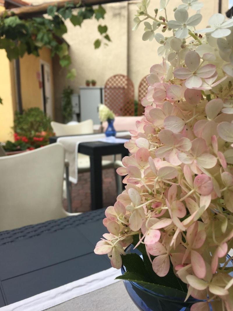 Wine Hotel San Giacomo Activity & Wellness - Genel