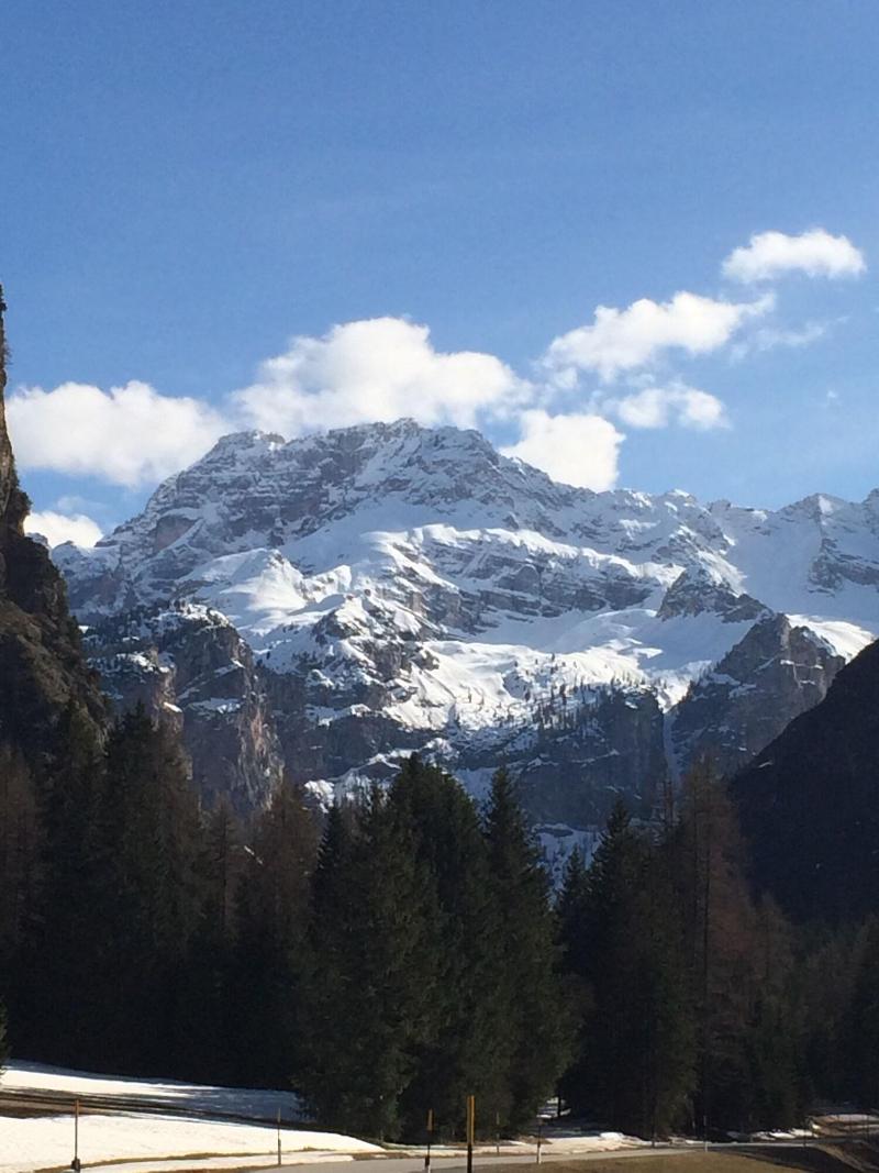 Hotel Meublé Villa Neve - Genel