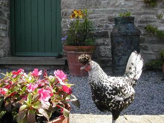Alltybrain Farm Cottages and B&B fotoÄŸrafÄ±