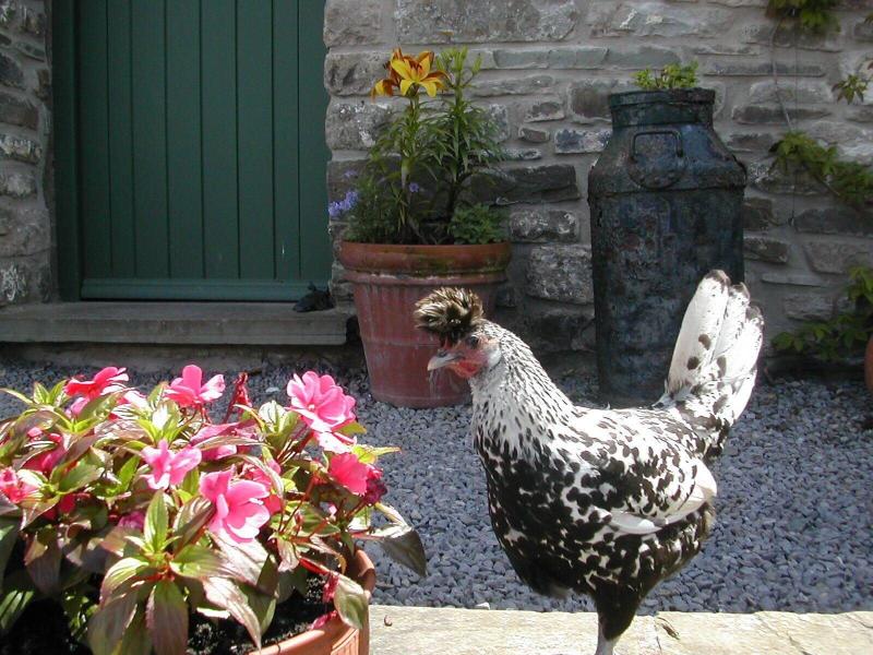 Alltybrain Farm Cottages and B&B - Genel