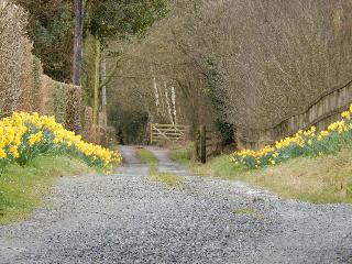 Alltybrain Farm Cottages and B&B fotoÄŸrafÄ±