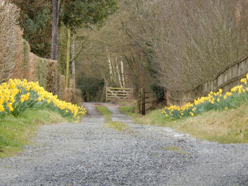 Alltybrain Farm Cottages and B&B - Genel