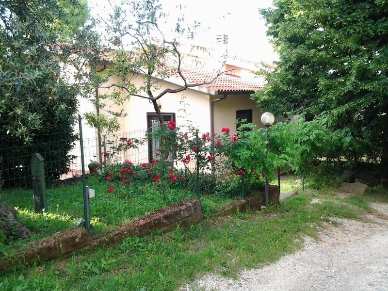 Agriturismo Norianino - Genel