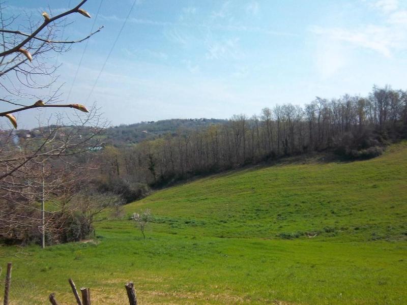 Agriturismo Norianino - Genel