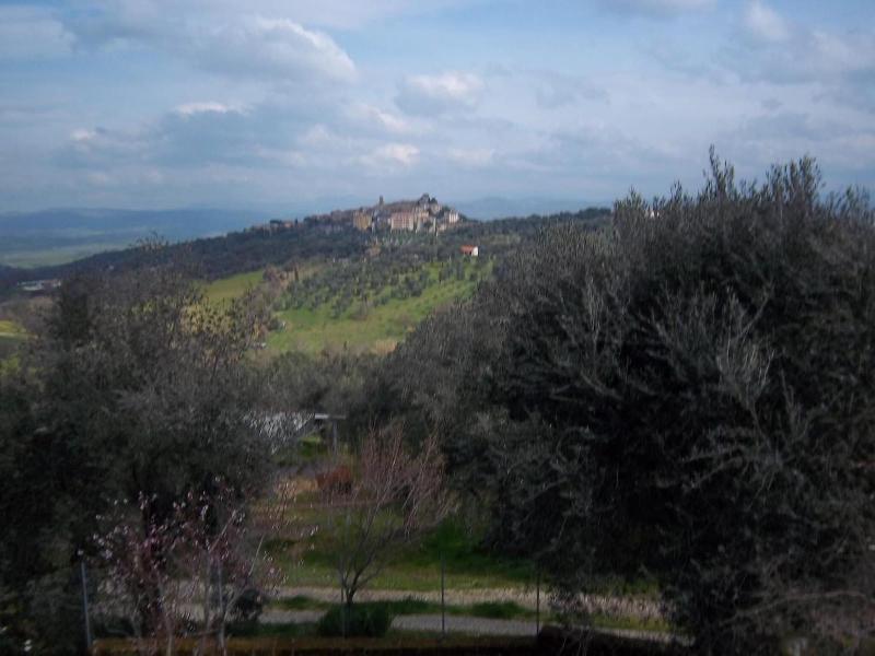 Agriturismo Norianino - Genel
