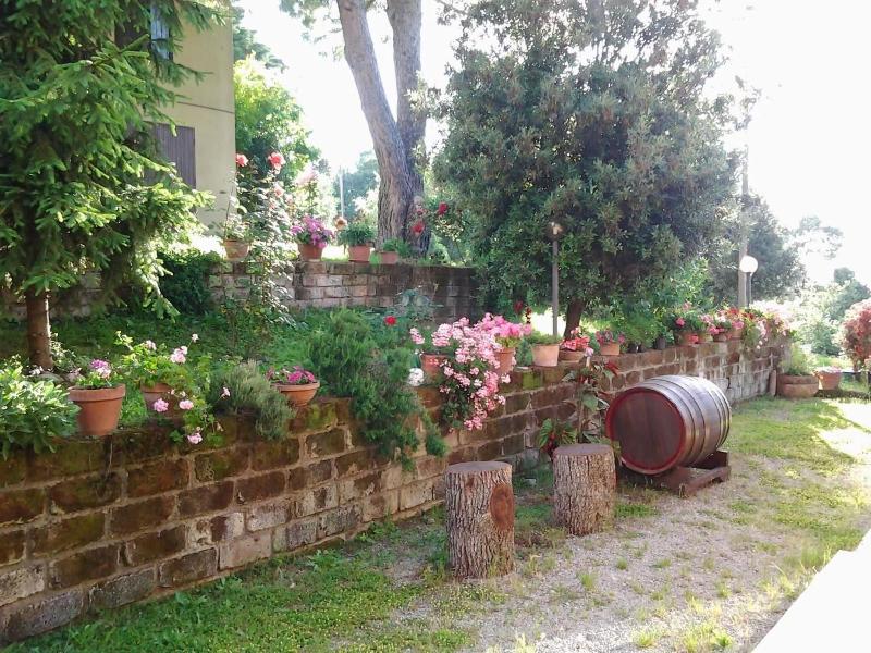 Agriturismo Norianino - Genel