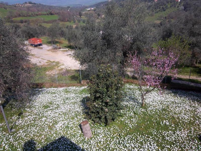 Agriturismo Norianino - Genel