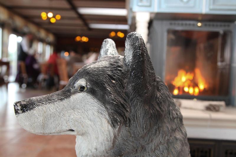 Das Wolfshotel Am Arendsee - Lobi