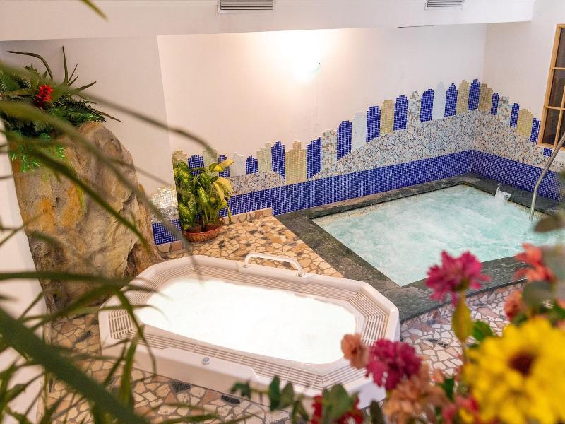 Hotel Alpe - Havuz
