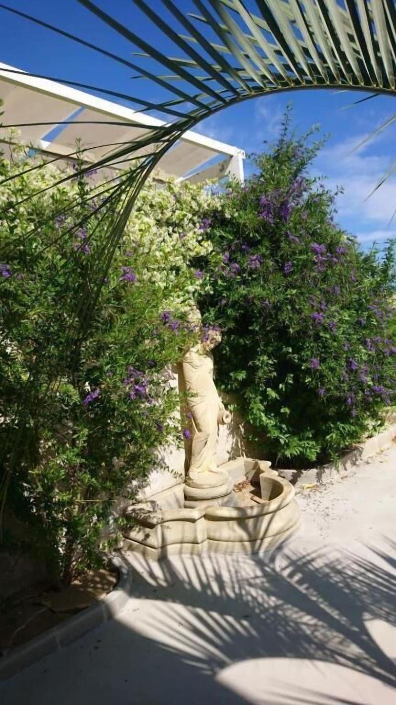 B&B Stella dei Campi - Genel