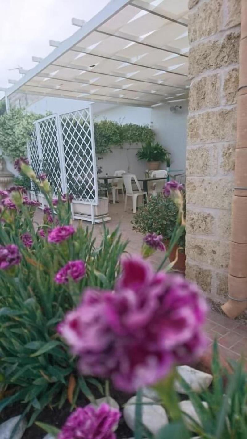 B&B Stella dei Campi - Genel