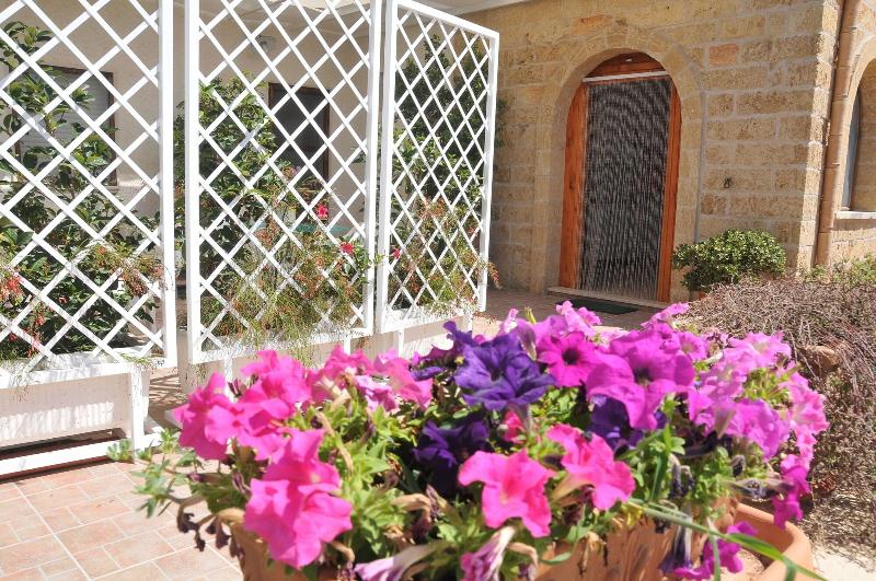 B&B Stella dei Campi - Genel