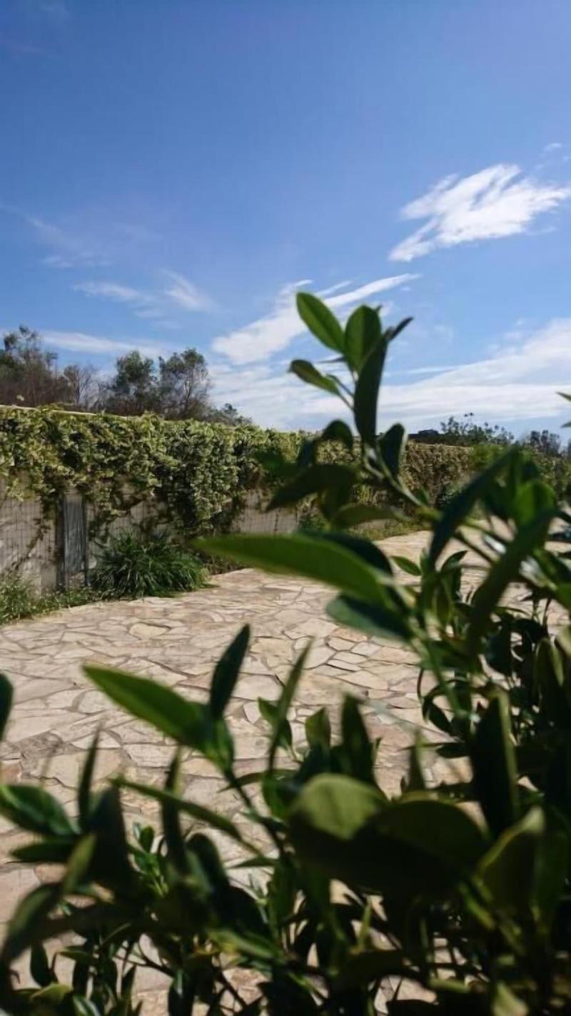 B&B Stella dei Campi - Genel