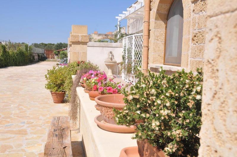 B&B Stella dei Campi - Genel