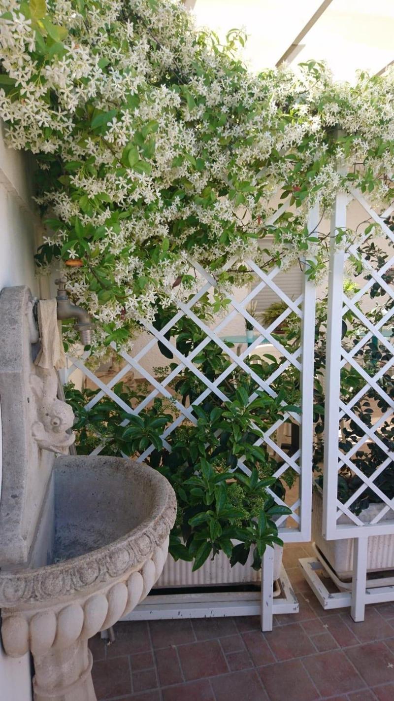 B&B Stella dei Campi - Genel