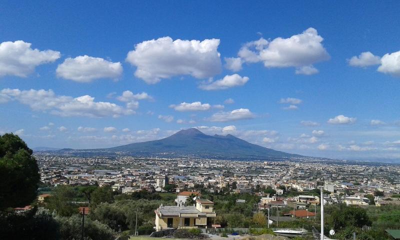 Villa Rosa - Oda