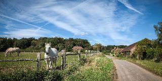 Selden Farm B&B fotoÄŸrafÄ±