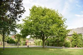 Selden Farm B&B fotoÄŸrafÄ±
