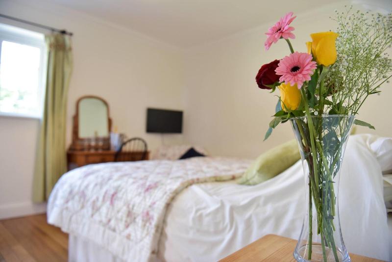 Selden Farm B&B - Oda