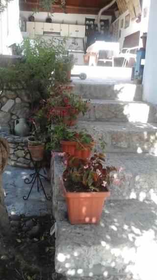 B&B La Ginestra fotoÄŸrafÄ±